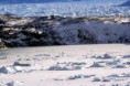 /album/groenlandia/groenlandia-2f-sikuluitsoq-e-ilulissat-icefjords-jpg/